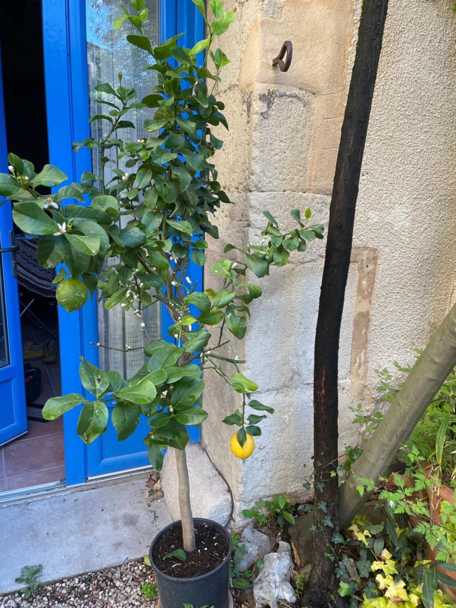 Appartement Cosy Malaucène Εξωτερικό φωτογραφία